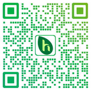 黄柏种子_川黄柏树种子-四川筠连县华聚棣种植专业合作社